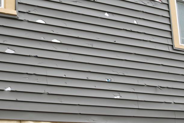 Best Engineered Wood Siding  in Lexington, TX